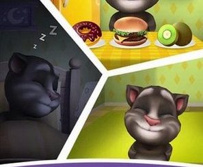 my talking tom game on iphone 6 plus, 6, ip 5s, 5, 4s, 4