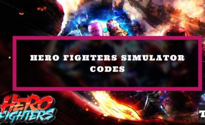 code HERO Fighters Simulator