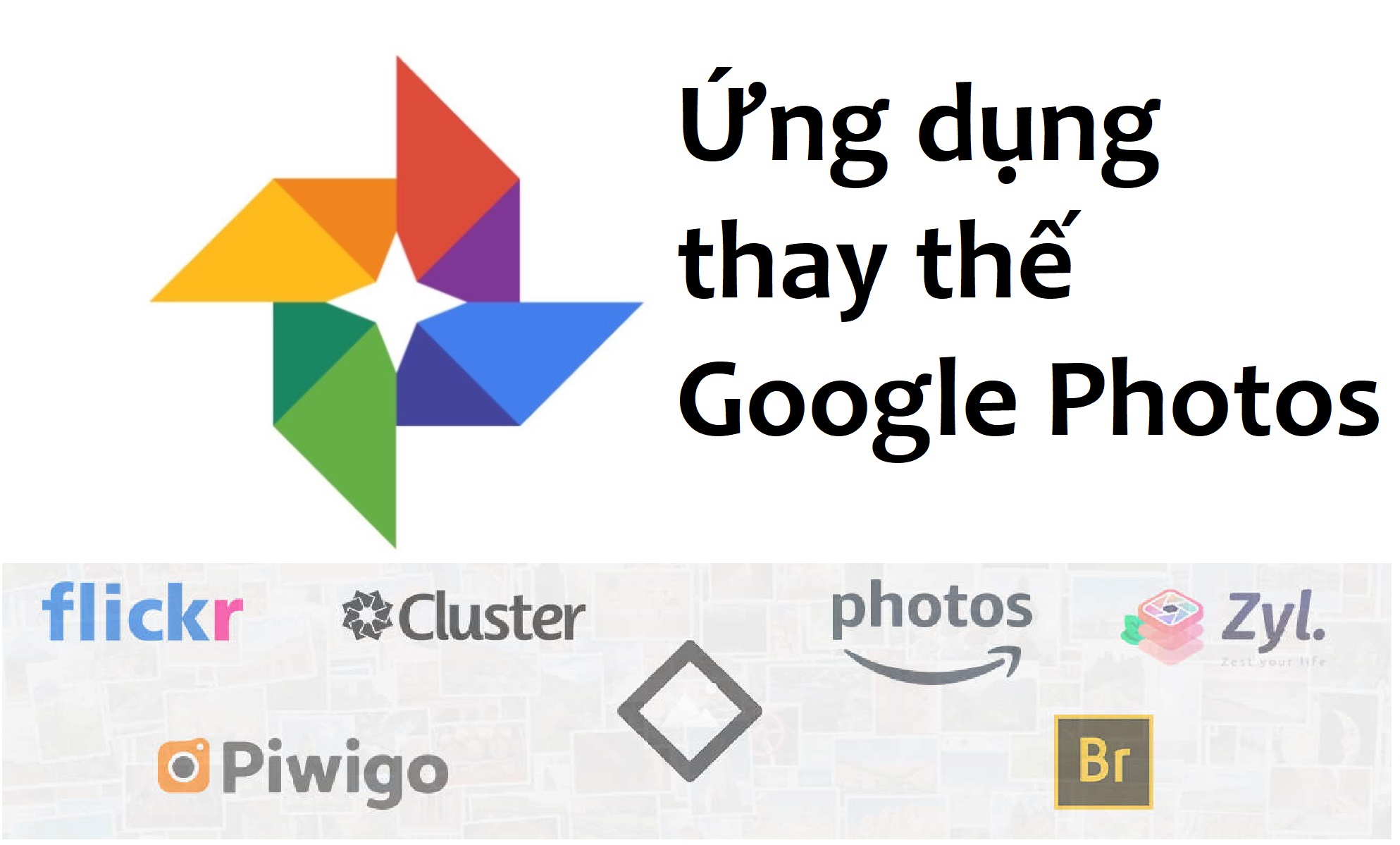 ung dung thay the google photos